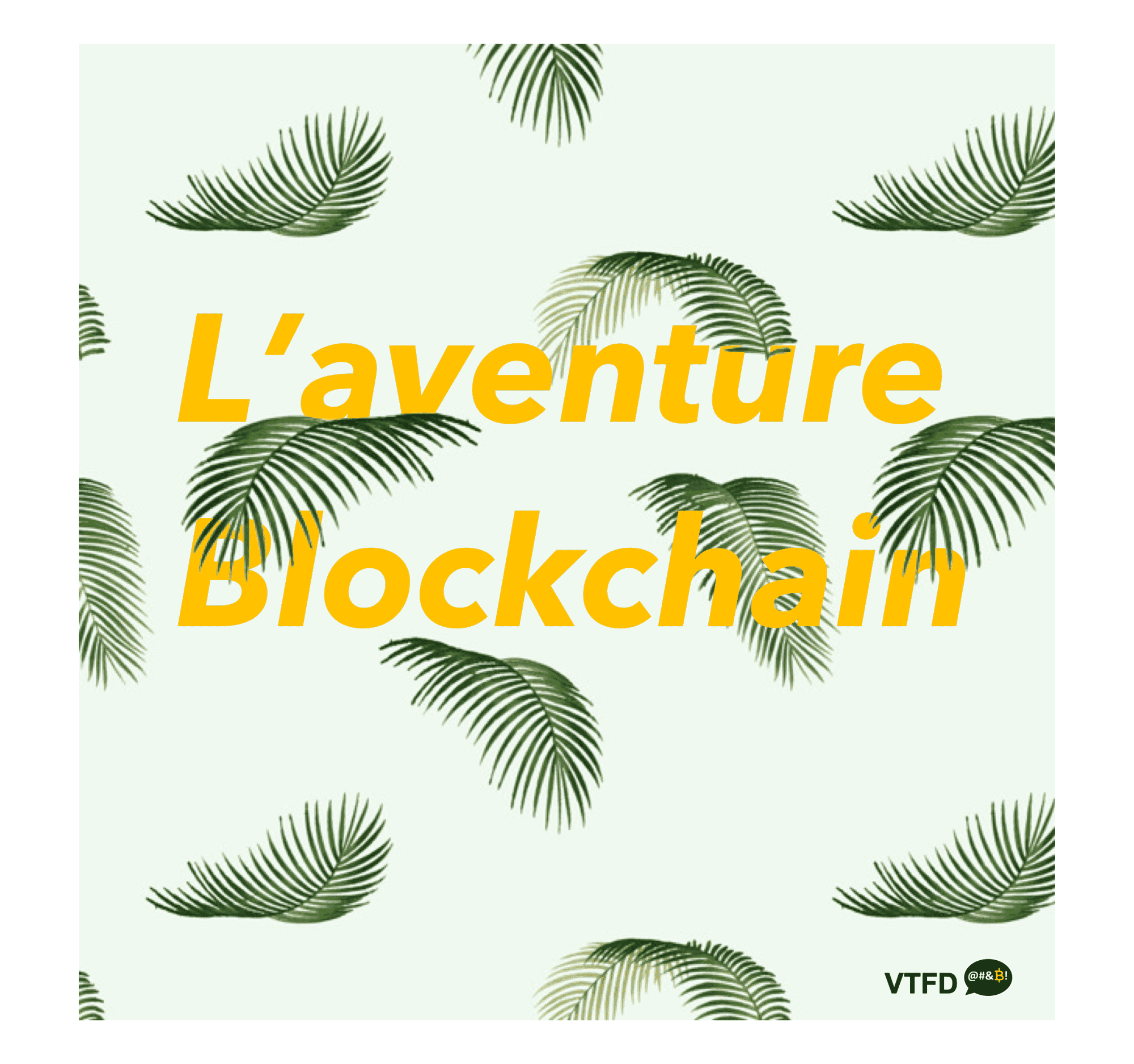 blockchain-qu-est-ce-que-cest-vtfd